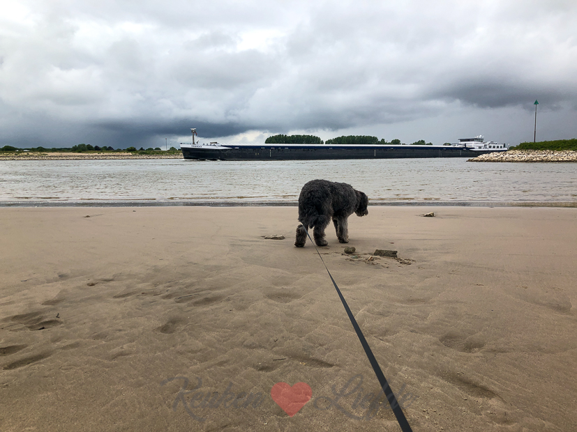 Een kijkje in de keuken week 23-2020