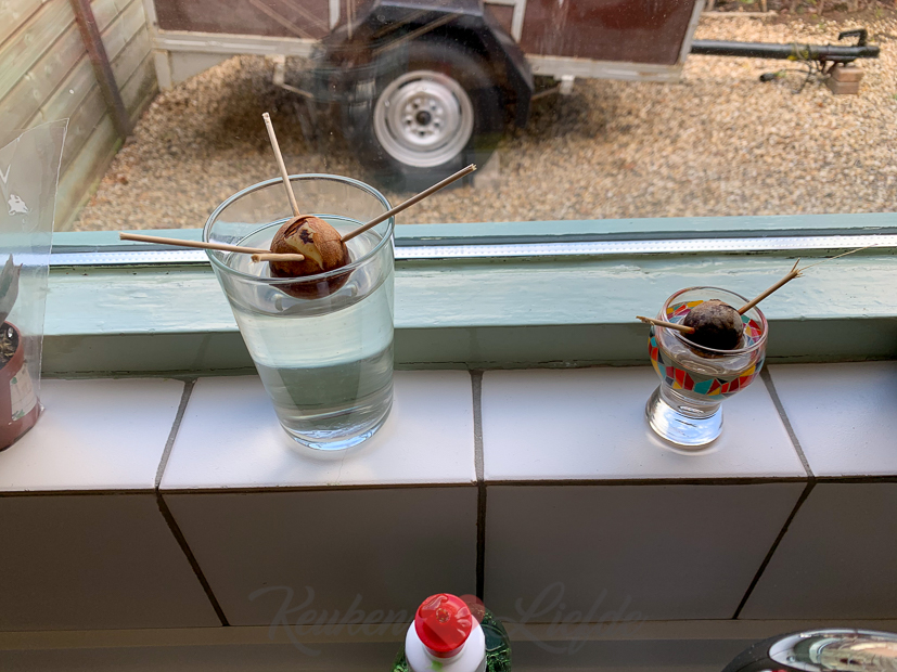 Een kijkje in de keuken week 24-2020 Een kijkje in de keuken week 24-2020