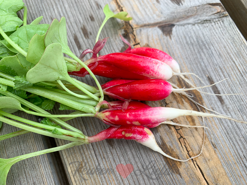 Een kijkje in de keuken week 24-2020 Een kijkje in de keuken week 24-2020