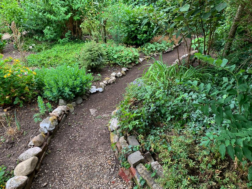 Een kijkje in de keuken week 24-2020