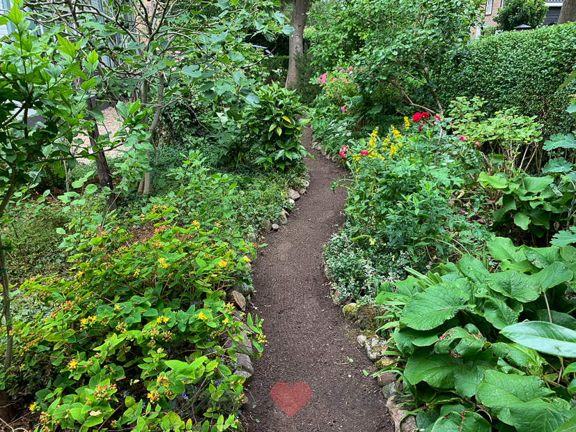 Een kijkje in de keuken week 24-2020