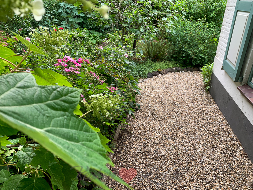 Een kijkje in de keuken week 24-2020