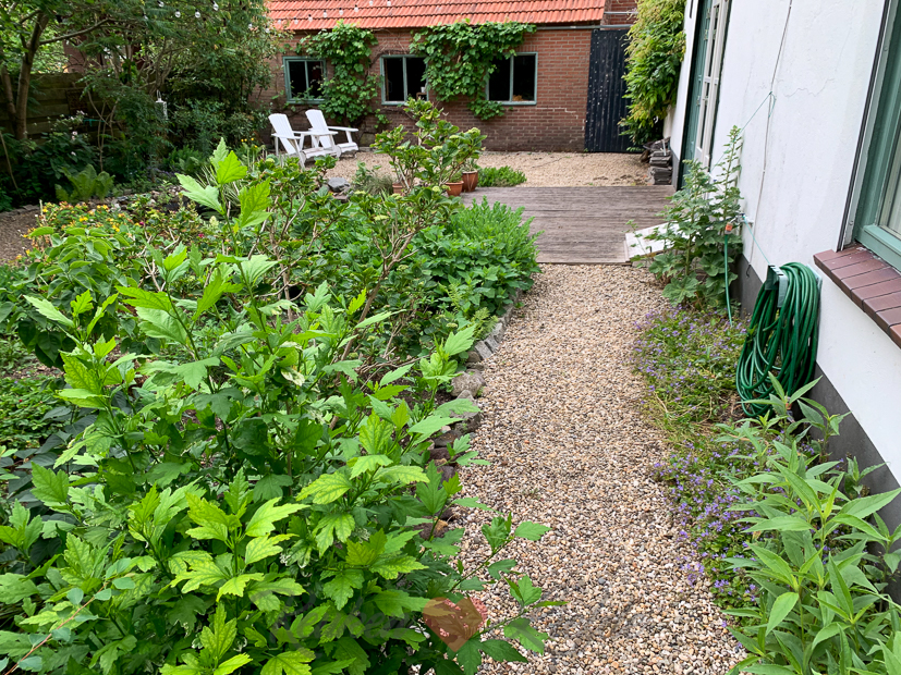 Een kijkje in de keuken week 24-2020