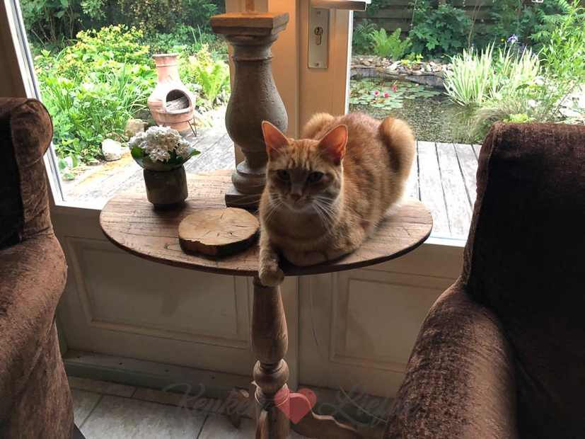 Een kijkje in de keuken week 24-2020 Een kijkje in de keuken week 24-2020