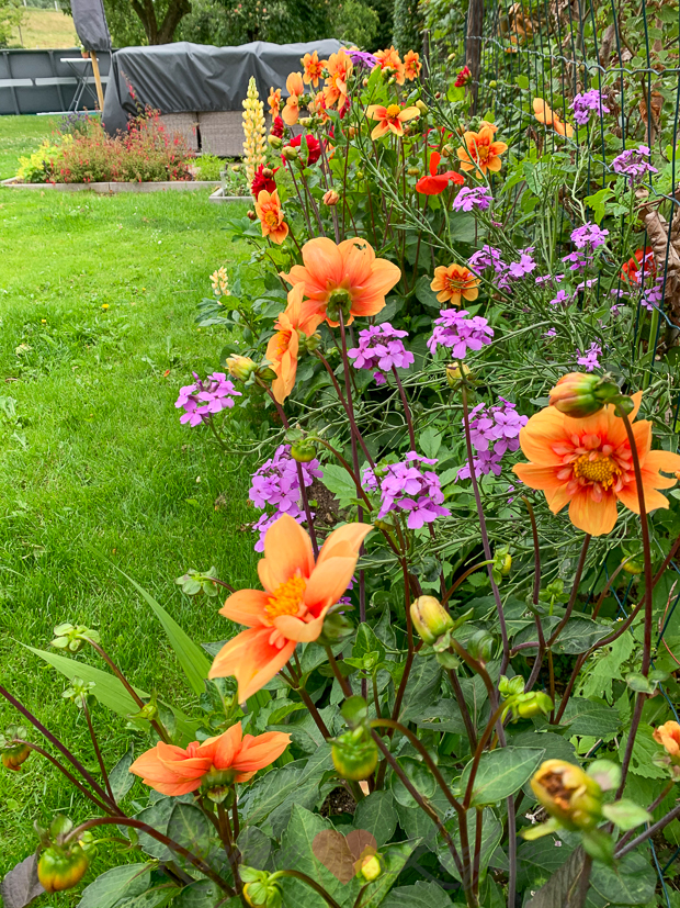 Een kijkje in de keuken week 27-2020