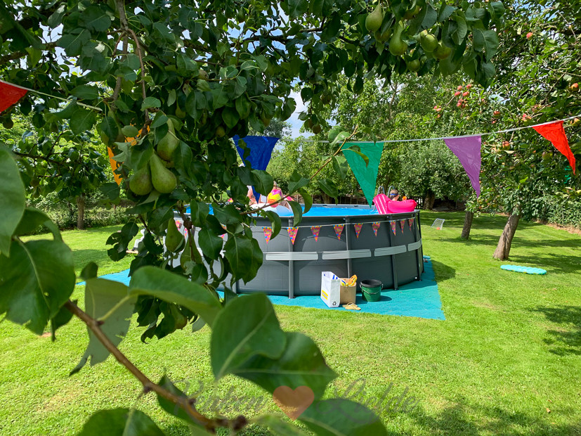 Een kijkje in de keuken week 29-2020