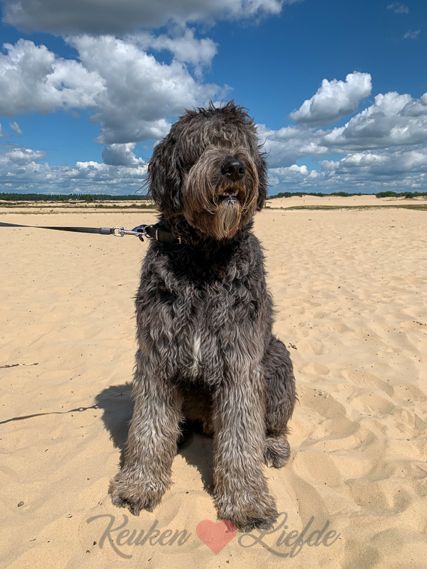 Een kijkje in de keuken week 30-2020