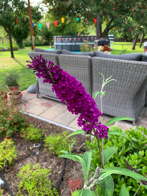 Een kijkje in de keuken week 30-2020