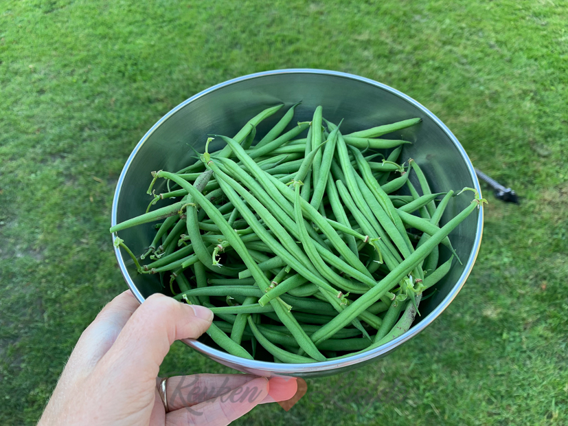 Een kijkje in de keuken week 31-2020 Een kijkje in de keuken week 31-2020