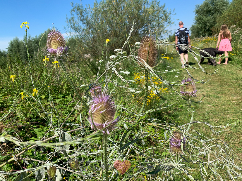 Een kijkje in de keuken week 31-2020