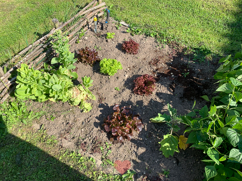 Een kijkje in de keuken week 31-2020