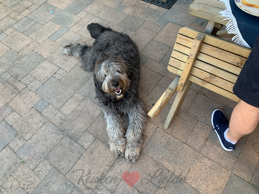 Een kijkje in de keuken week 31-2020