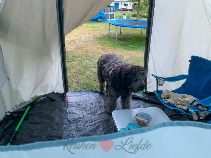 Een kijkje in de keuken week 32-2020 Een kijkje in de keuken week 32-2020