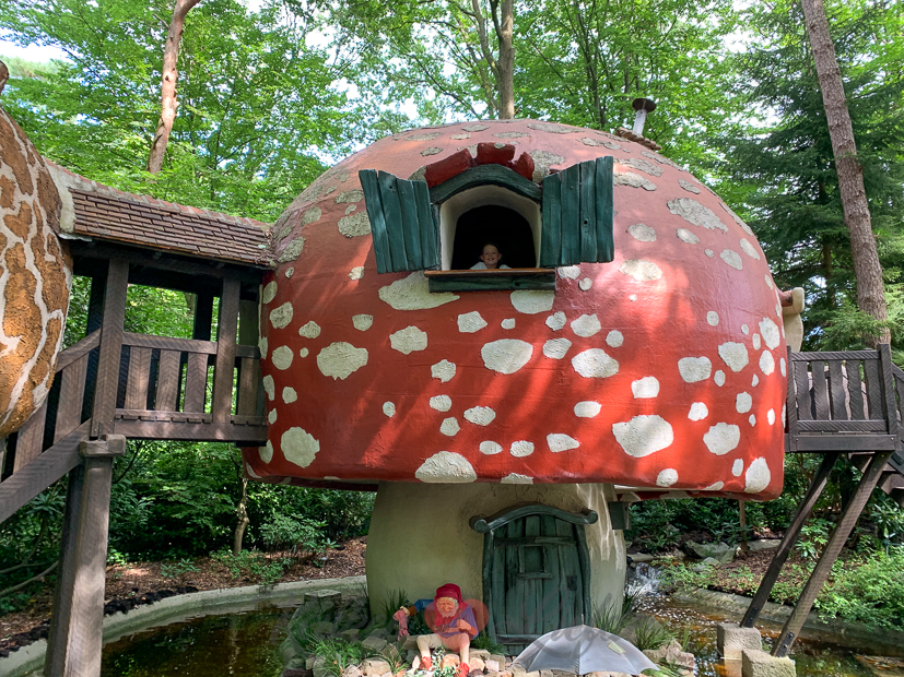 Een kijkje in de keuken week 33-2020