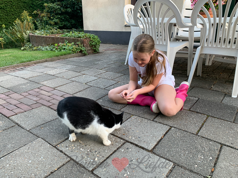 Een kijkje in de keuken week 35-2020