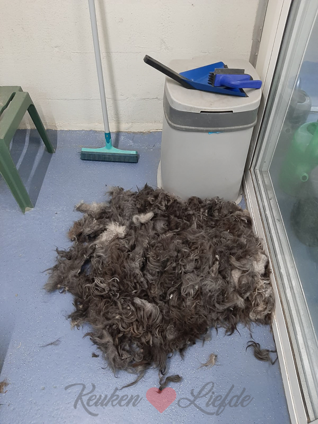 Een kijkje in de keuken week 41-2020 Een kijkje in de keuken week 41-2020