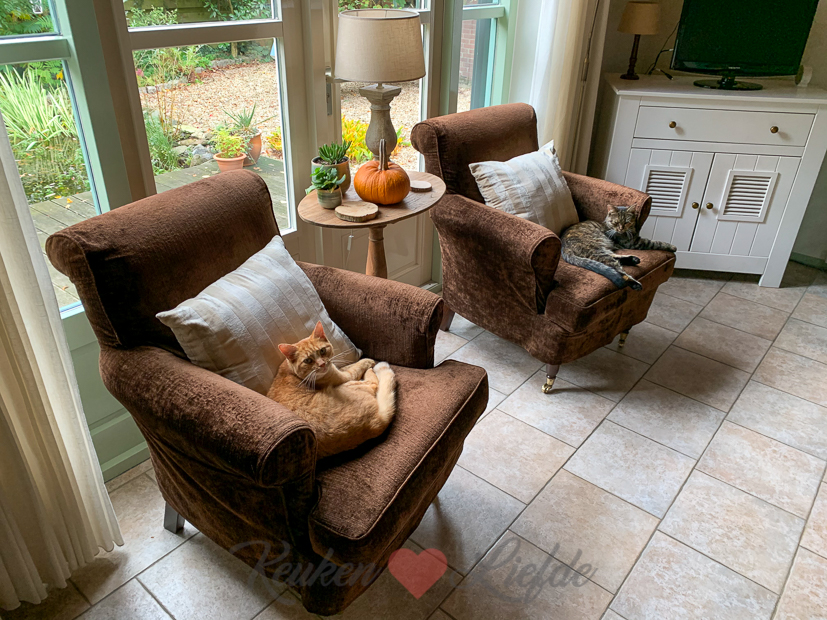 Een kijkje in de keuken week 41-2020 Een kijkje in de keuken week 41-2020