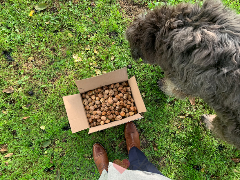 Een kijkje in de keuken week 41-2020 Een kijkje in de keuken week 41-2020