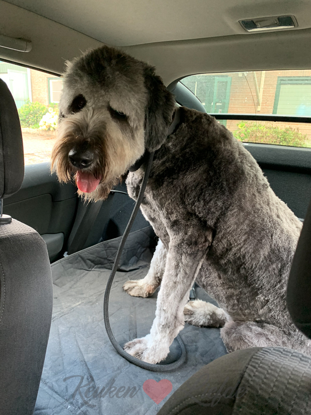 Een kijkje in de keuken week 41-2020