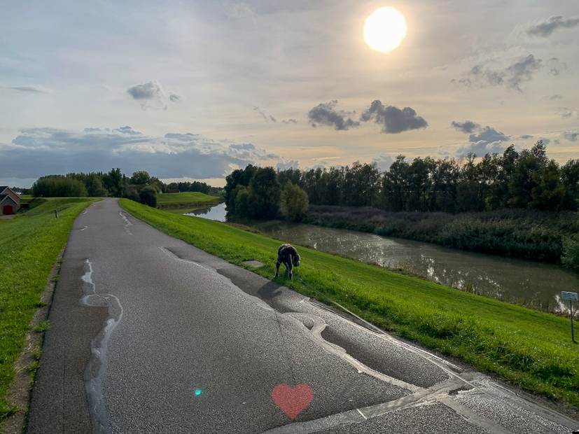 Een kijkje in de keuken week 41-2020