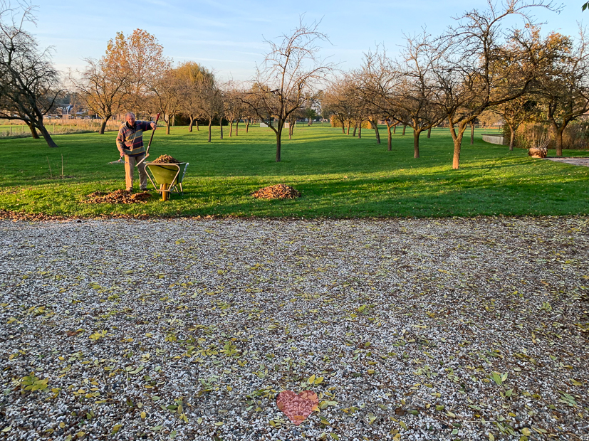 Een kijkje in de keuken week 45-2020 Een kijkje in de keuken week 45-2020