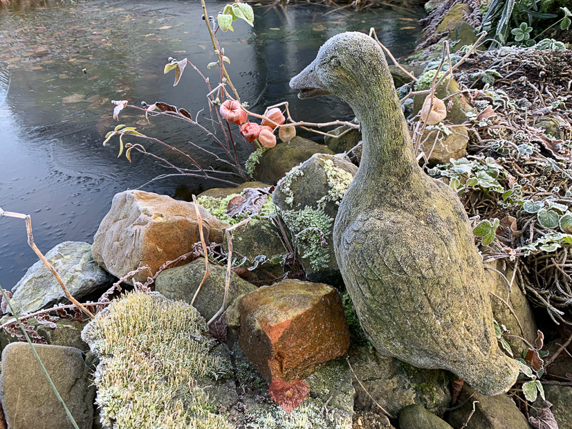 Een kijkje in de keuken week 2-2021