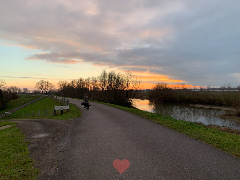 Een kijkje in de keuken week 2-2021 Een kijkje in de keuken week 2-2021