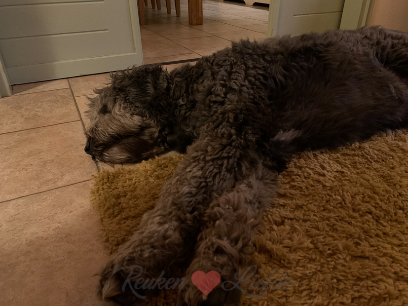 Een kijkje in de keuken week 4-2021