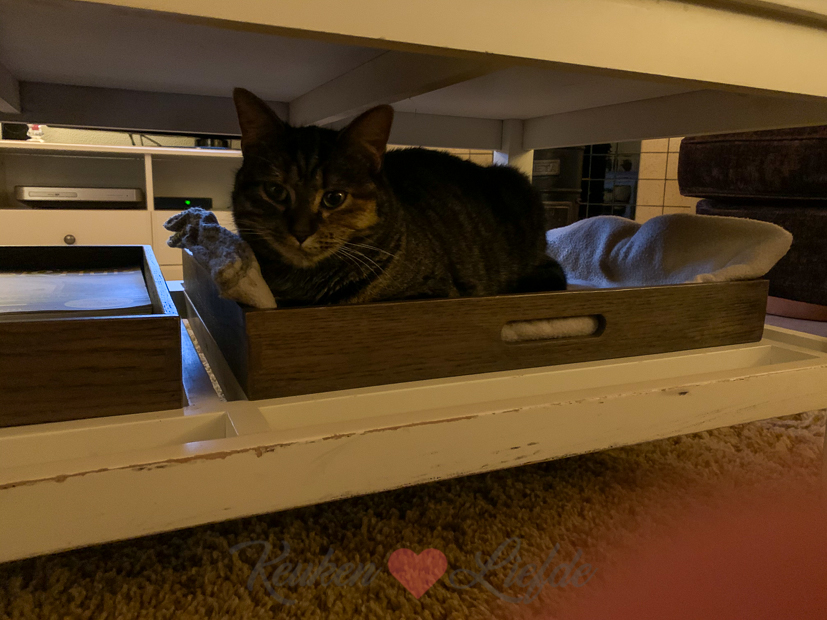 Een kijkje in de keuken week 4-2021