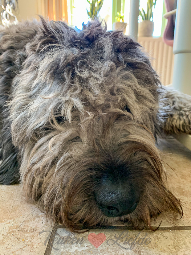 Een kijkje in de keuken week 4-2021