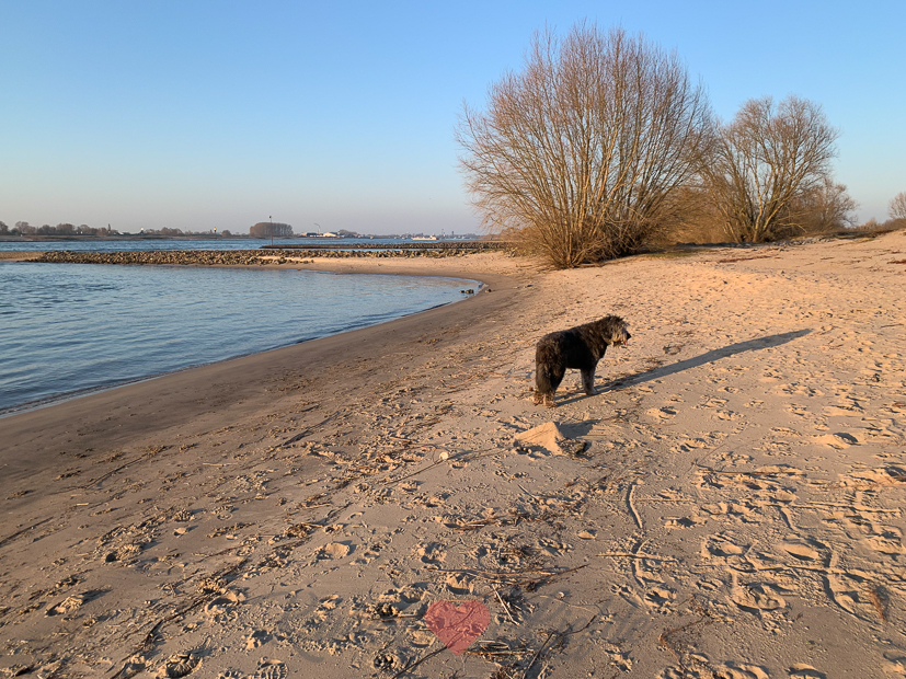 Een kijkje in de keuken week 10-2021