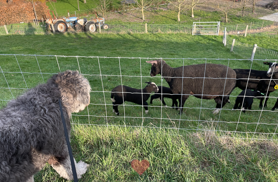 Een kijkje in de keuken week 13-2021