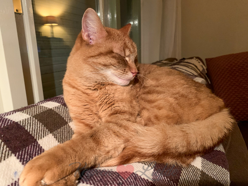 Een kijkje in de keuken week 13-2021