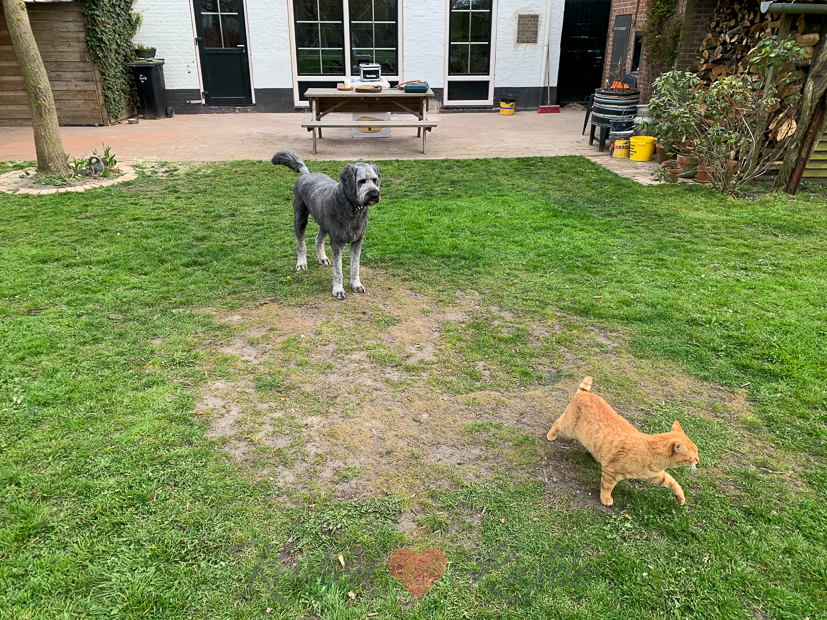 Een kijkje in de keuken week 16-2021