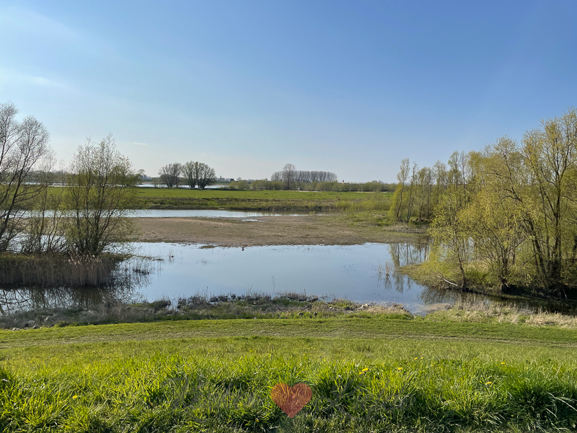 Een kijkje in de keuken week 16-2021