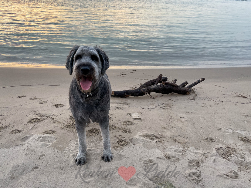 Een kijkje in de keuken week 16-2021