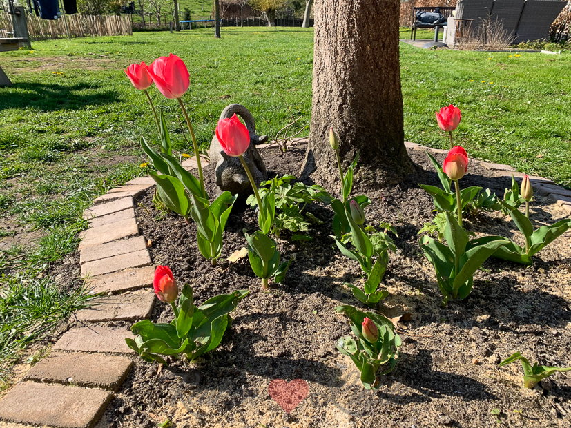 Een kijkje in de keuken week 17-2021