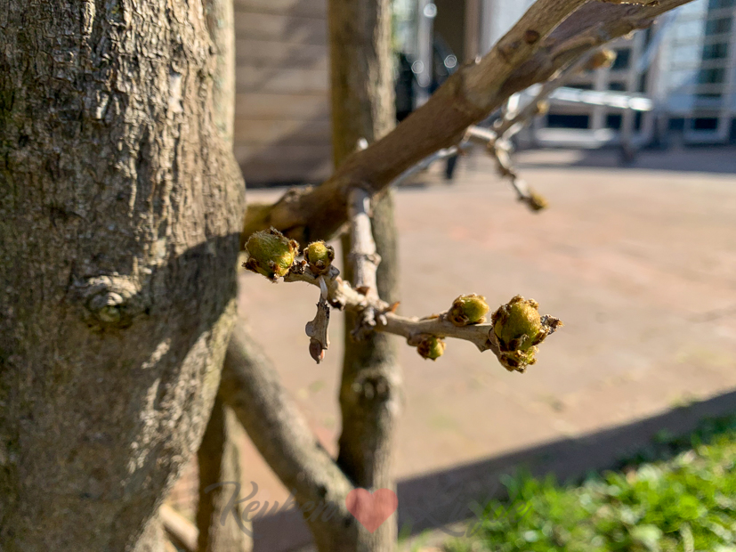 Een kijkje in de keuken week 17-2021