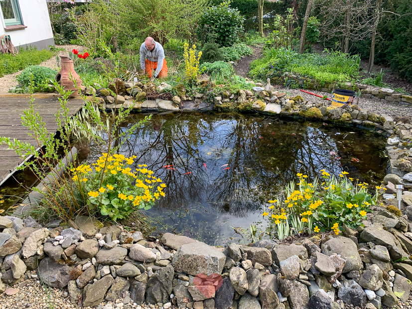 Een kijkje in de keuken week 17-2021