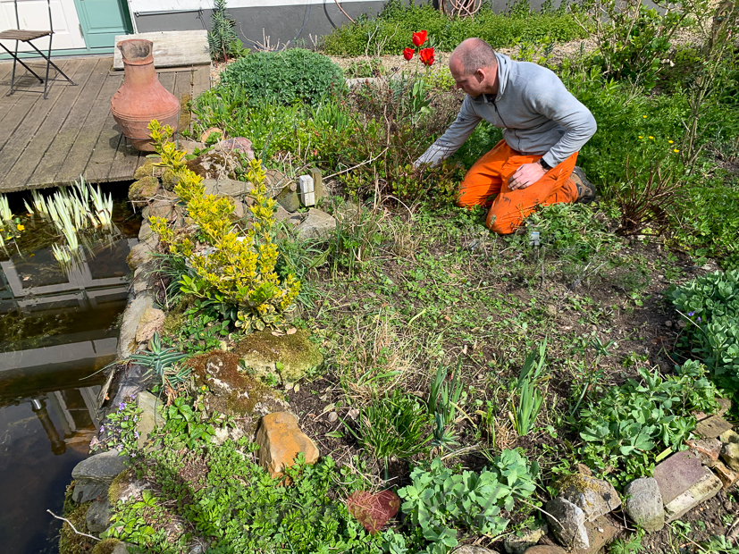 Een kijkje in de keuken week 17-2021