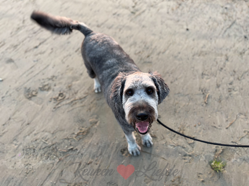 Een kijkje in de keuken week 17-2021