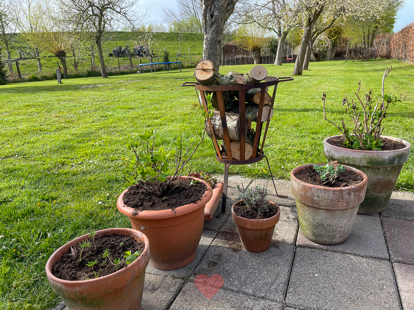 Een kijkje in de keuken week 17-2021