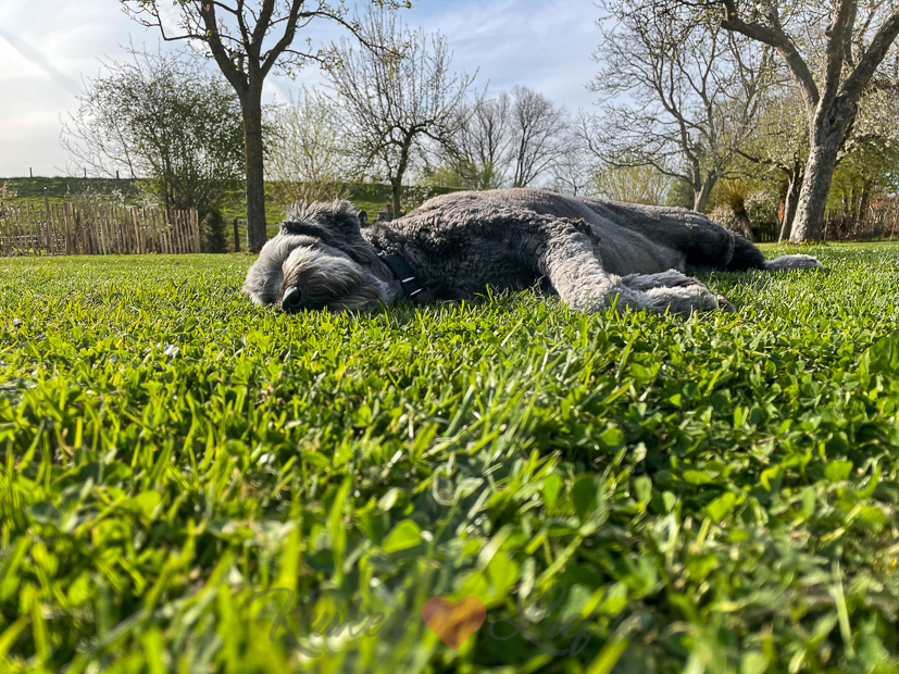 Een kijkje in de keuken week 17-2021