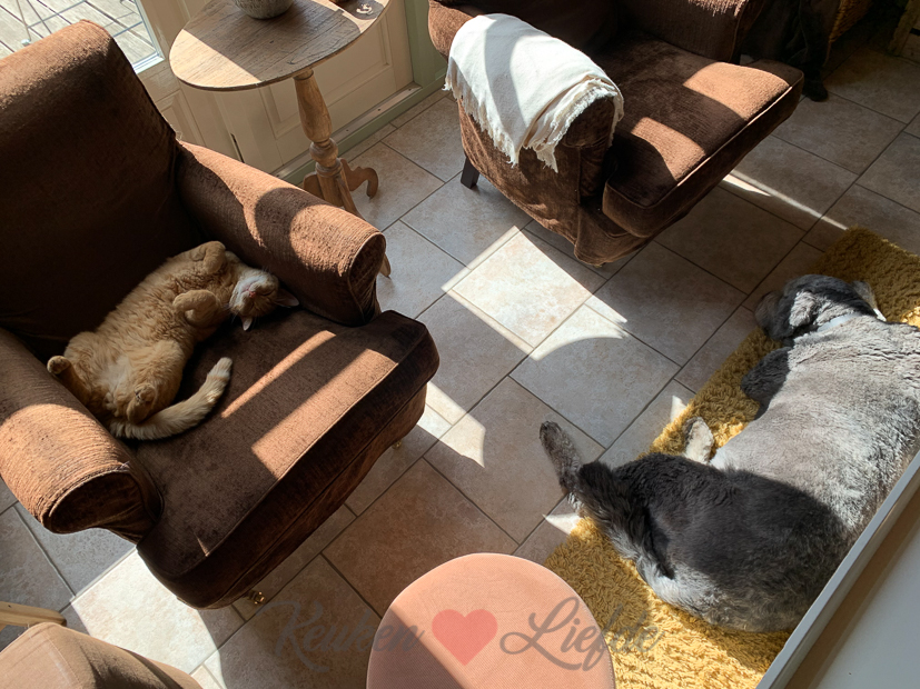 Een kijkje in de keuken week 19-2021 Een kijkje in de keuken week 19-2021