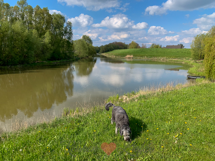 Een kijkje in de keuken week 19-2021