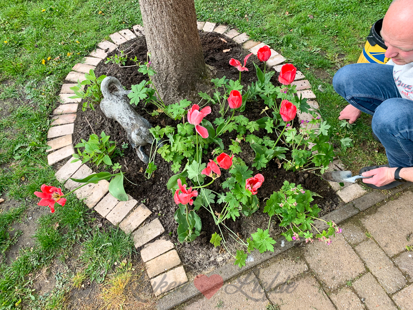 Een kijkje in de keuken week 19-2021