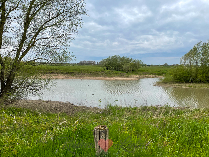 Een kijkje in de keuken week 19-2021