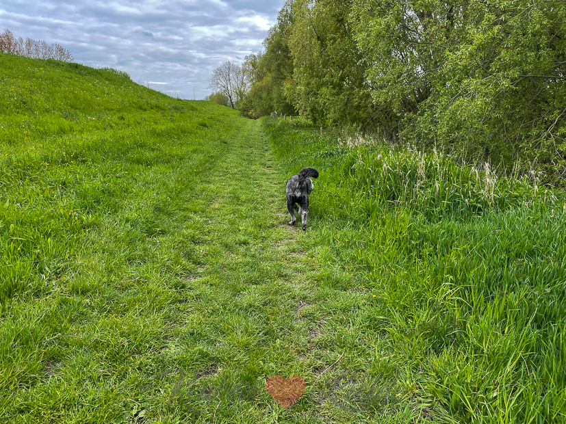 Een kijkje in de keuken week 19-2021