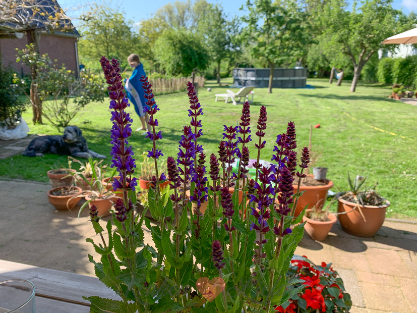 Een kijkje in de keuken week 22-2021