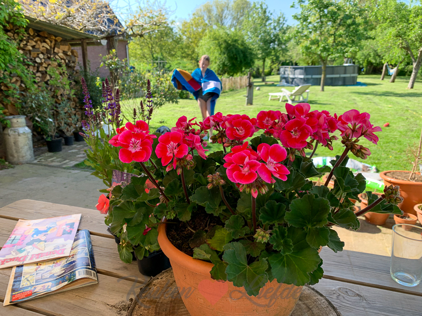 Een kijkje in de keuken week 22-2021